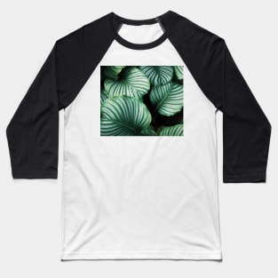 Luscious ferns II Baseball T-Shirt